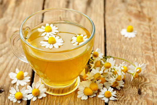Chamomile Tea Health Benefits: An Ancient Medicine Backed By Science - Firebelly Tea US