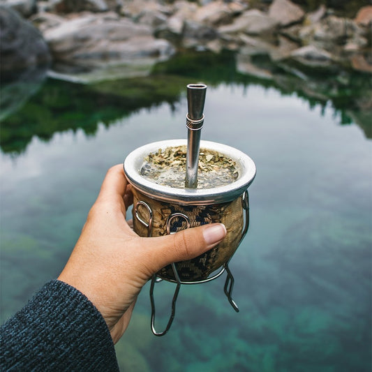 All About Yerba Mate and its Amazing Health Benefits - Firebelly Tea US