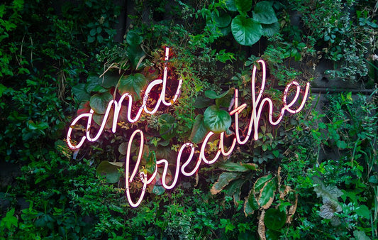 Soothing Solutions: Harnessing The Power Of Tea For Anxiety Relief - Firebelly Tea US