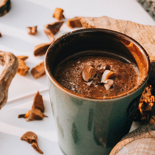 The Power of Adaptogenic Mushrooms and Tea - Firebelly Tea US