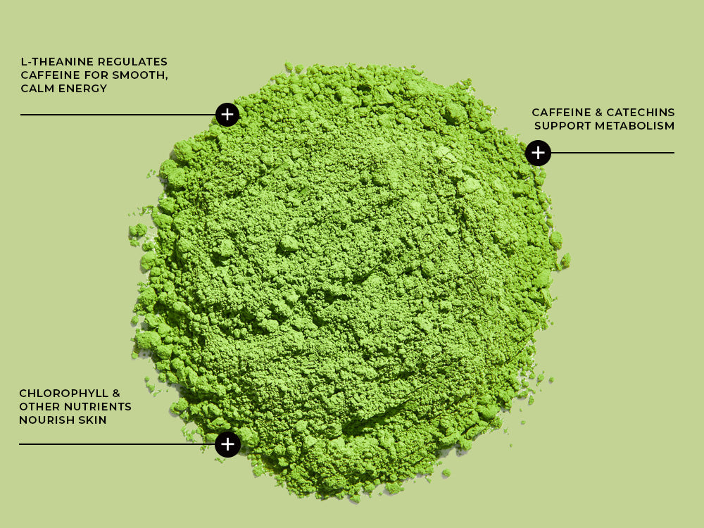 Pile of green tea leaves with health benefit annotations on a green background.