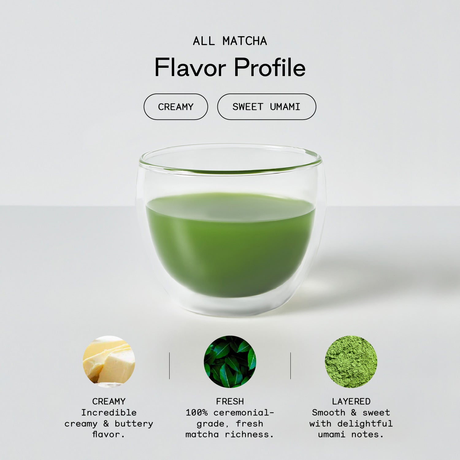 All Matcha - Firebelly Tea USA