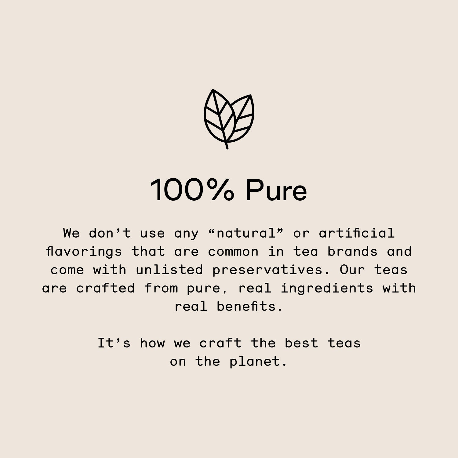 All Matcha - Firebelly Tea