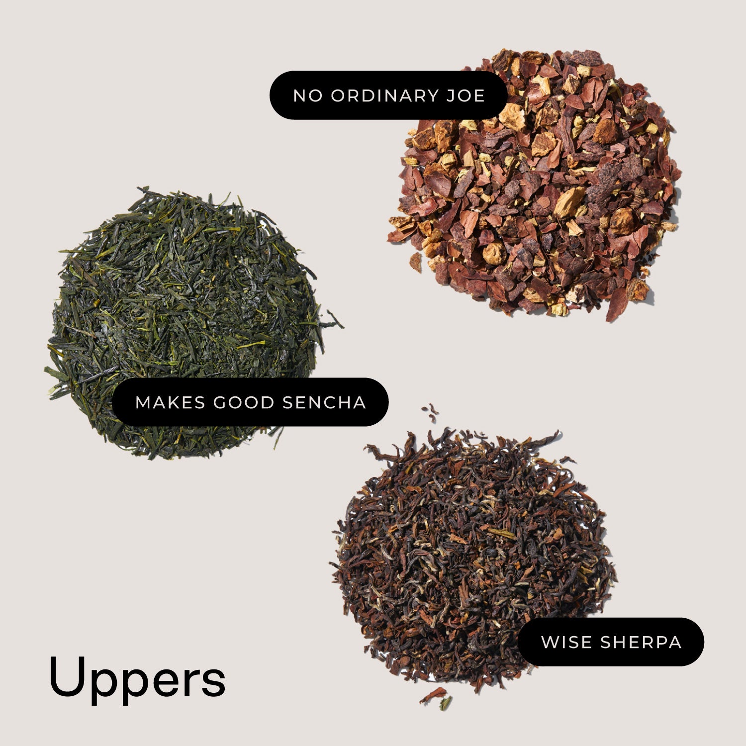 The Start-Up - Firebelly Tea USA